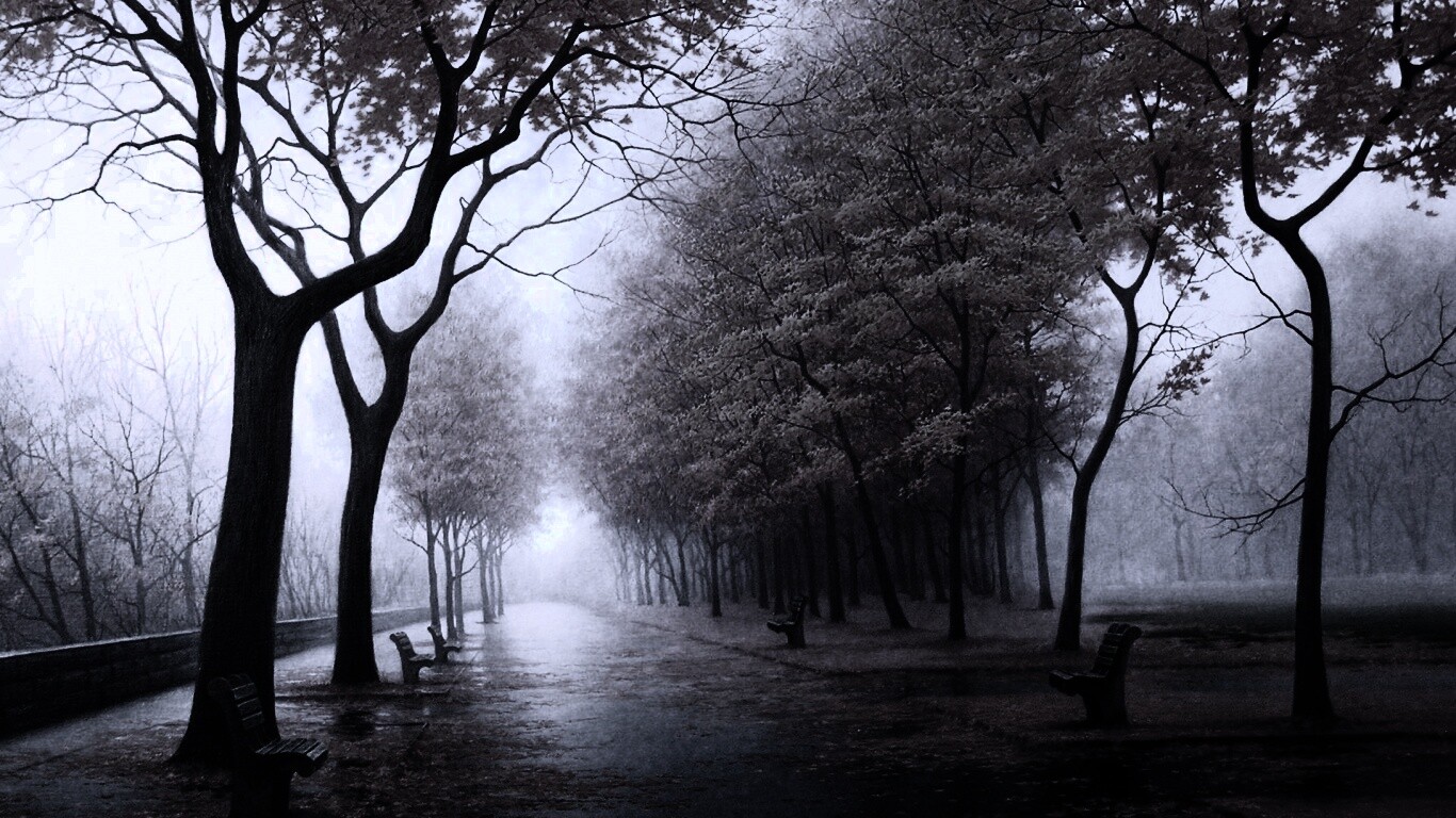 Дорога в осень обои