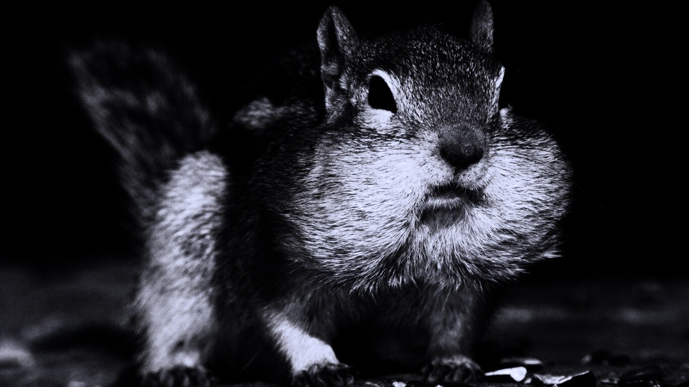 Не жадный, а бережливый обои