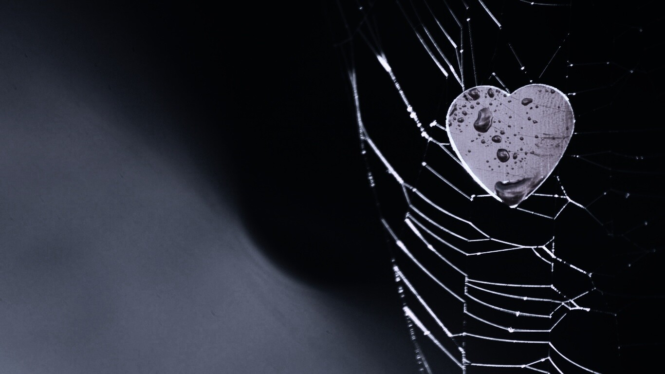 Сердце в паутине обои