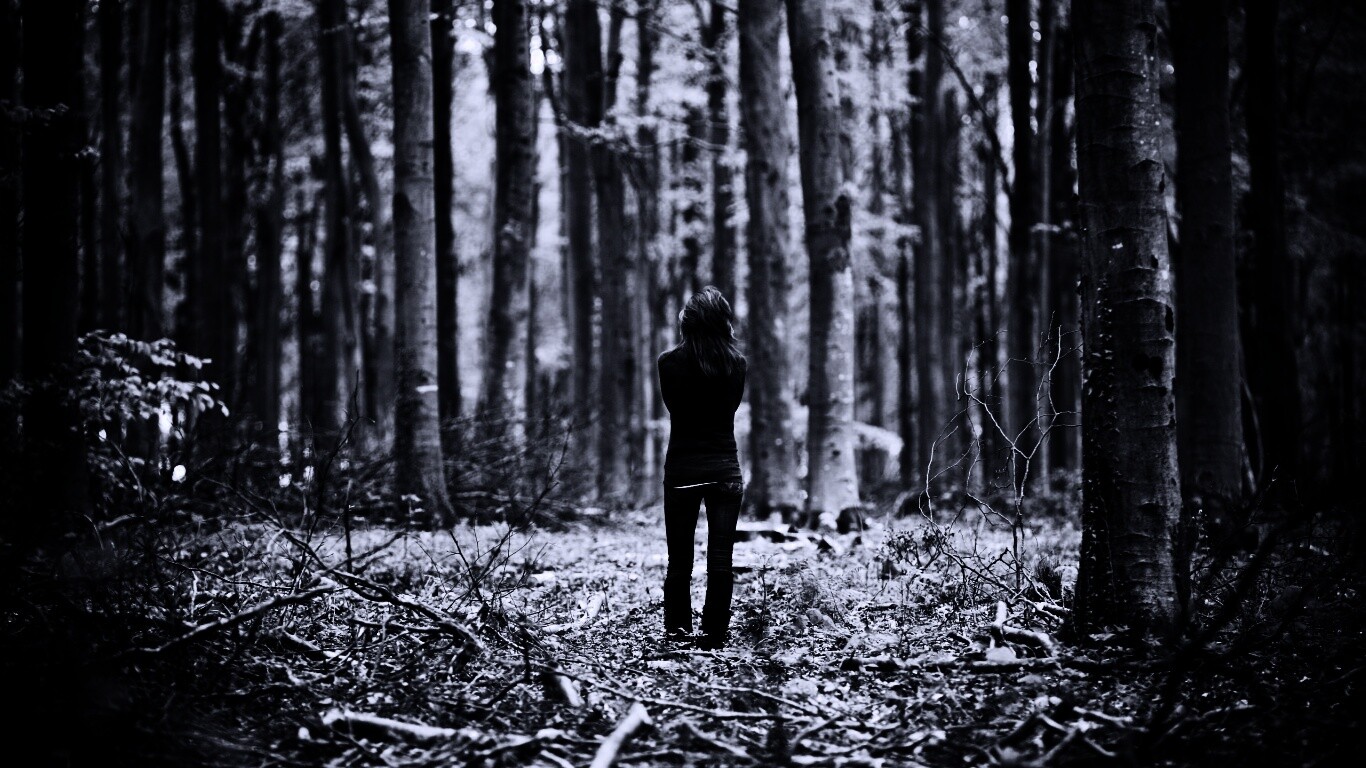 Одна в лесу обои