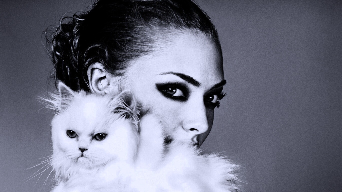 Девушка с кошкой обои