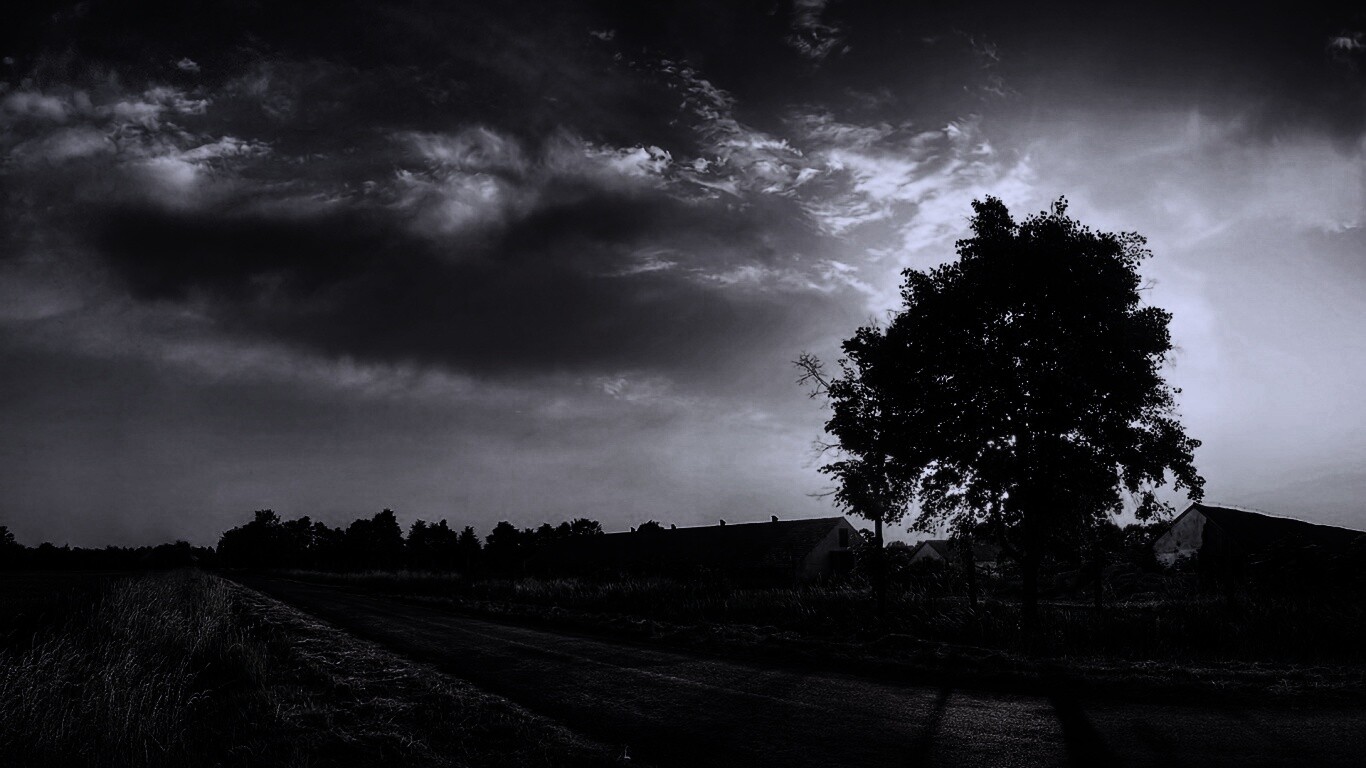 Закат на фоне дерева в HDR обои