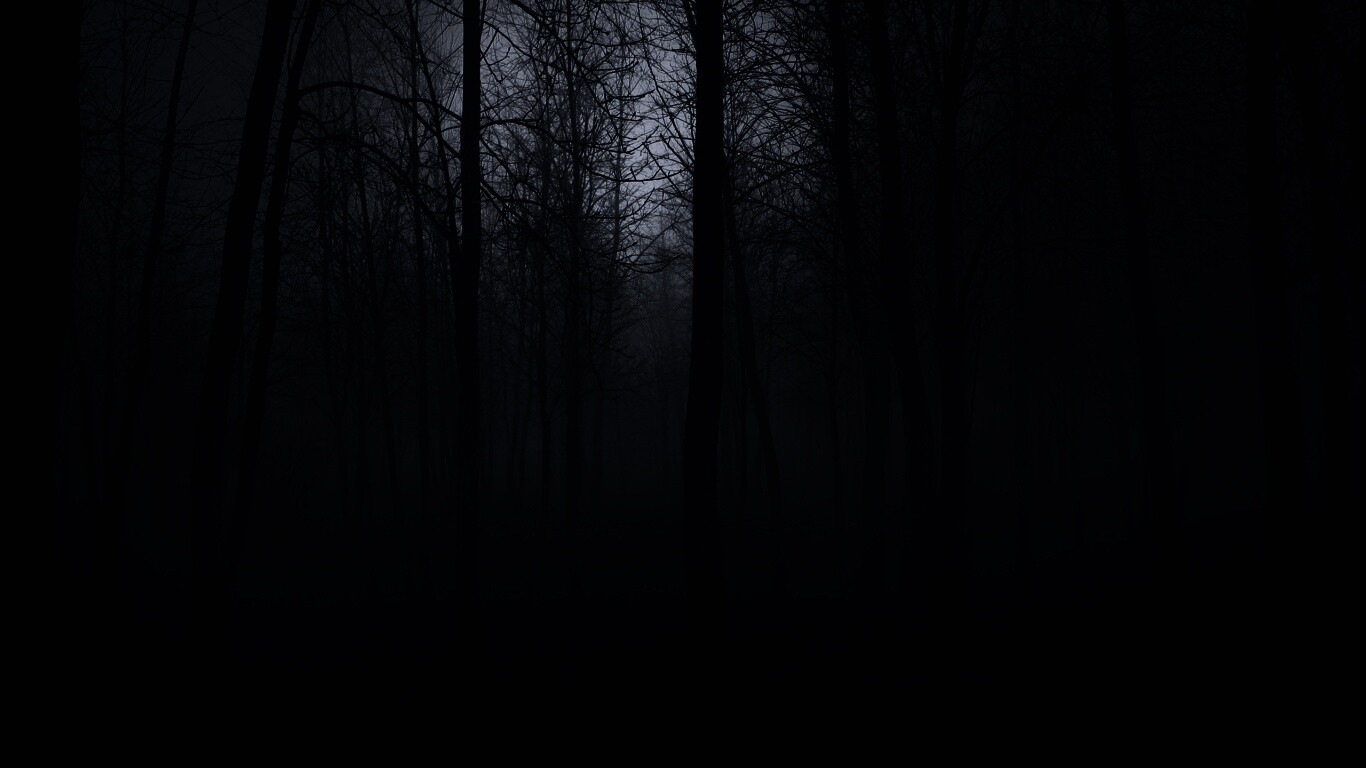 Страшный туманный лес обои