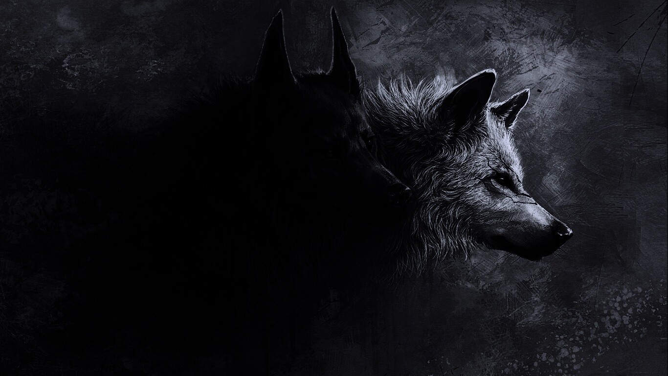 Волки обои