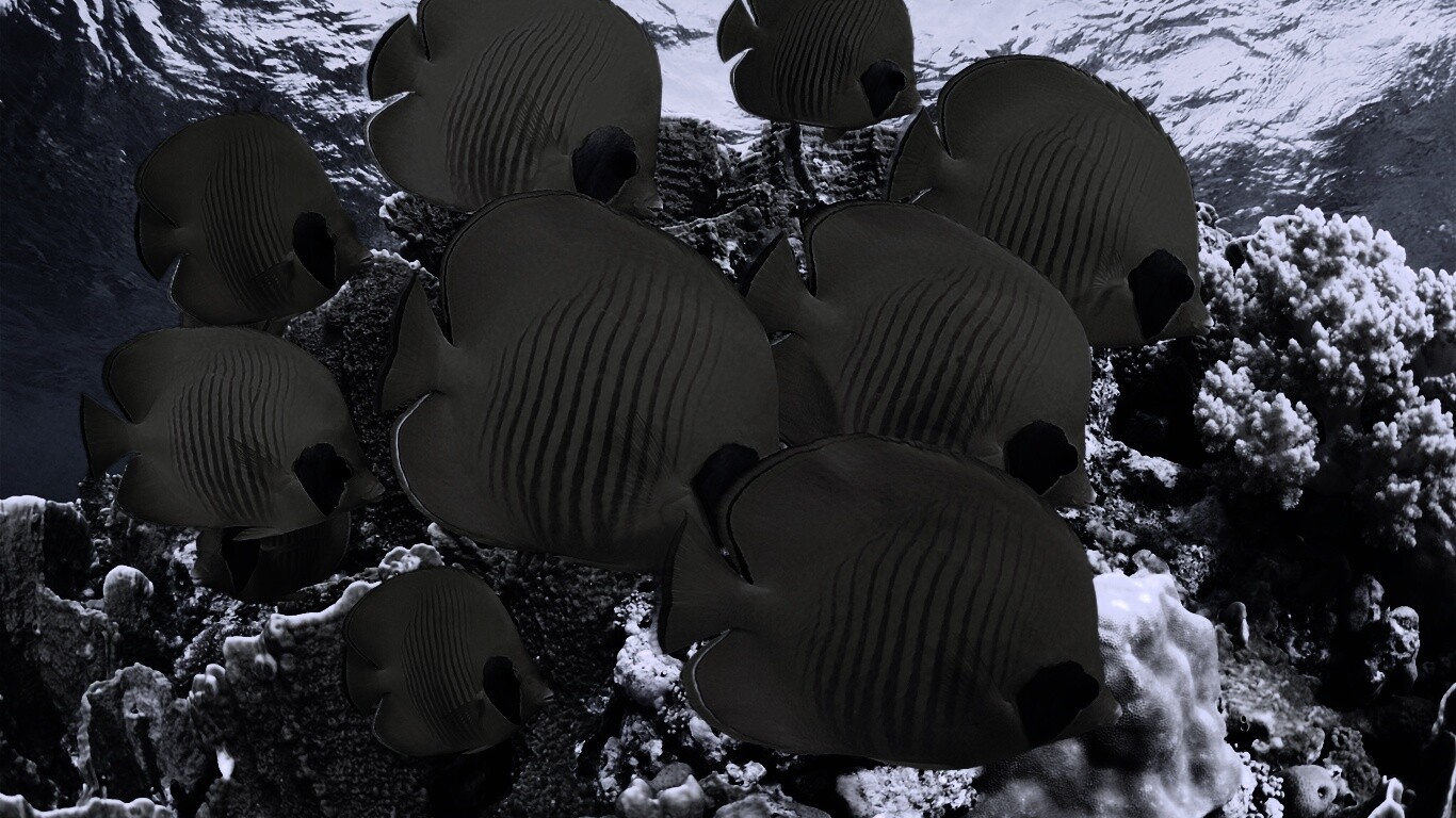 Желтые рыбки обои