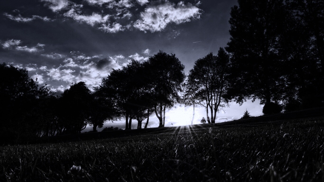 Лучи солнца на траве обои