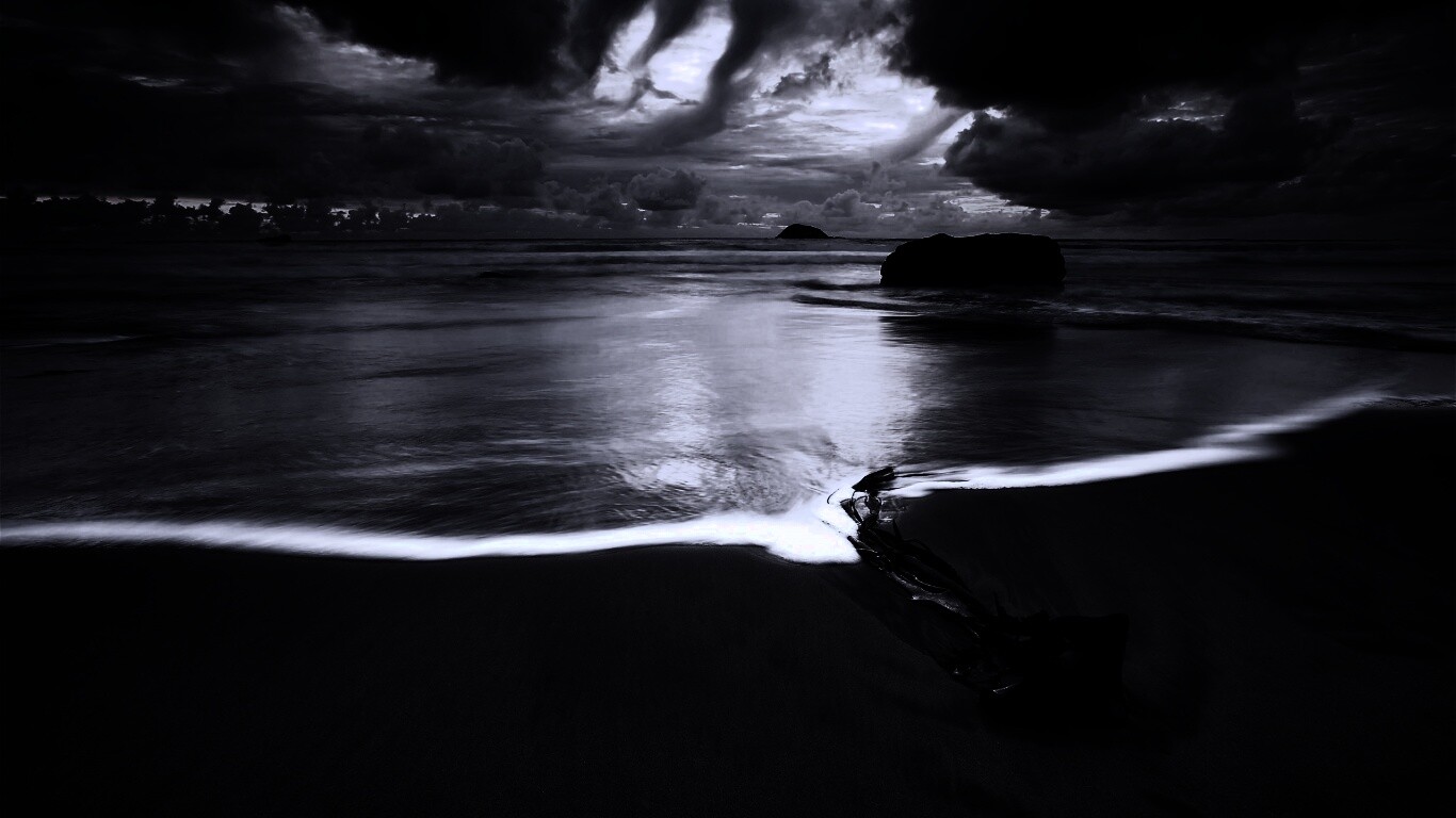 Коряга на пляже обои