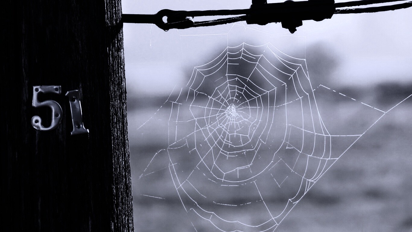 Паутина 51 обои