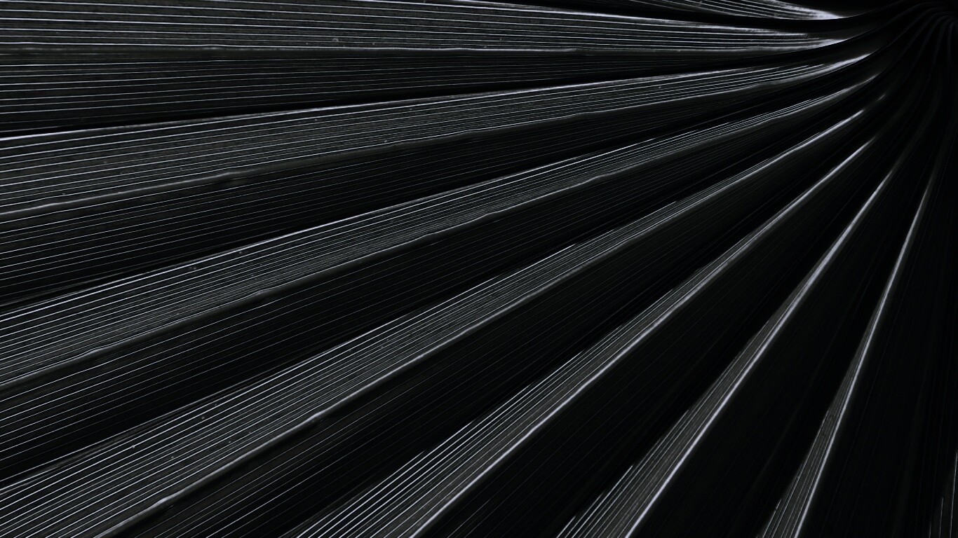 Зеленый пальмовый лист обои