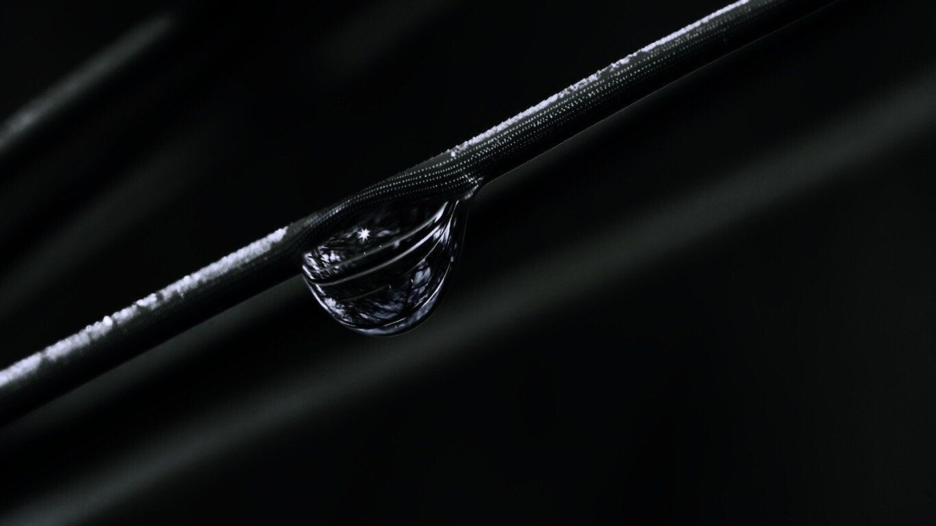 Капелька воды на стебле обои