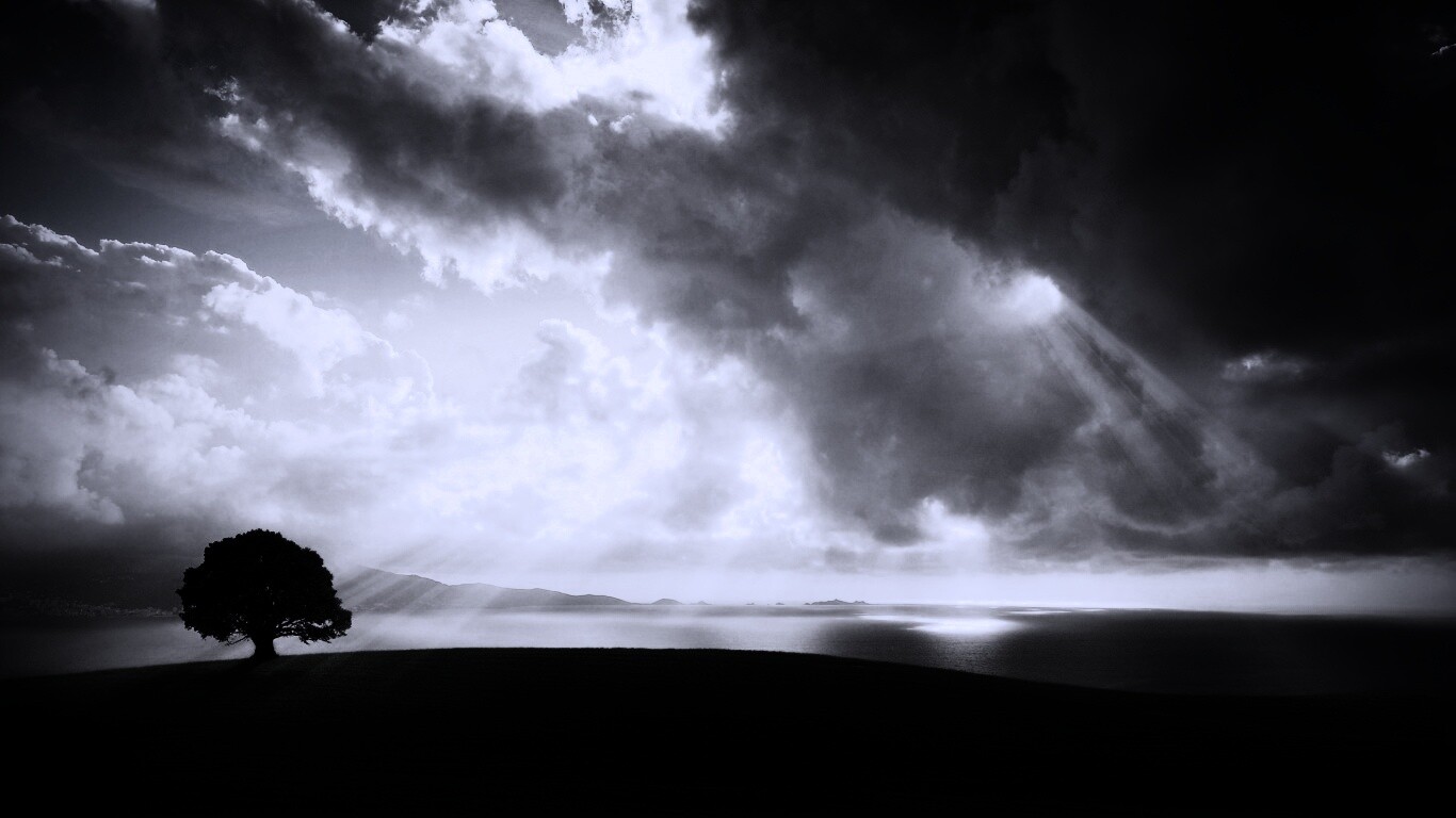 Холм и дерево обои