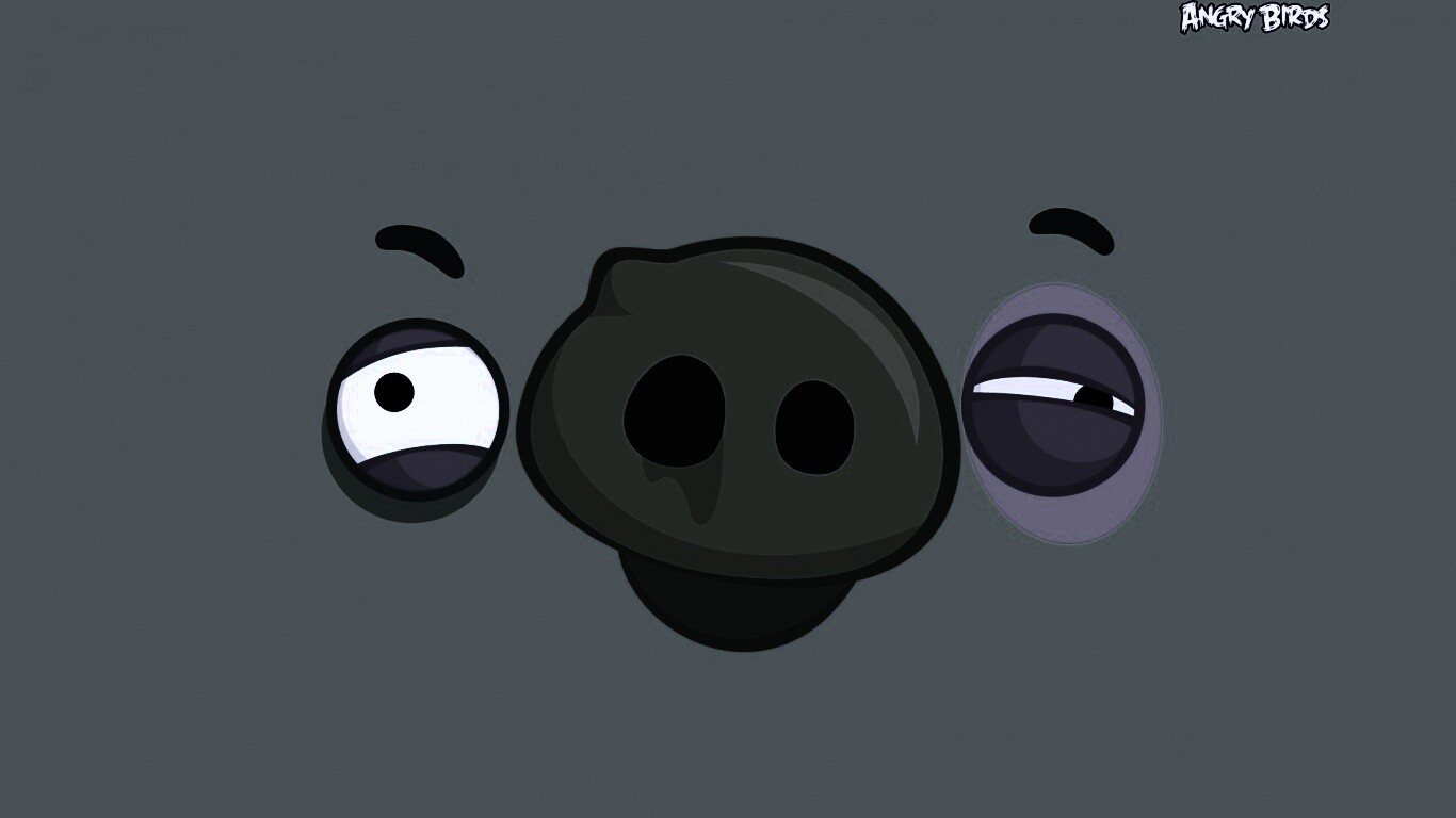 Свинья из Angry Birds обои