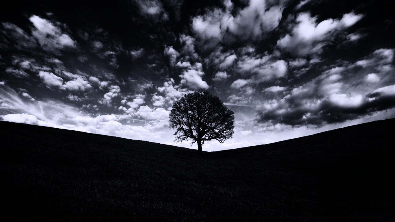 Холм одинокого дуба обои