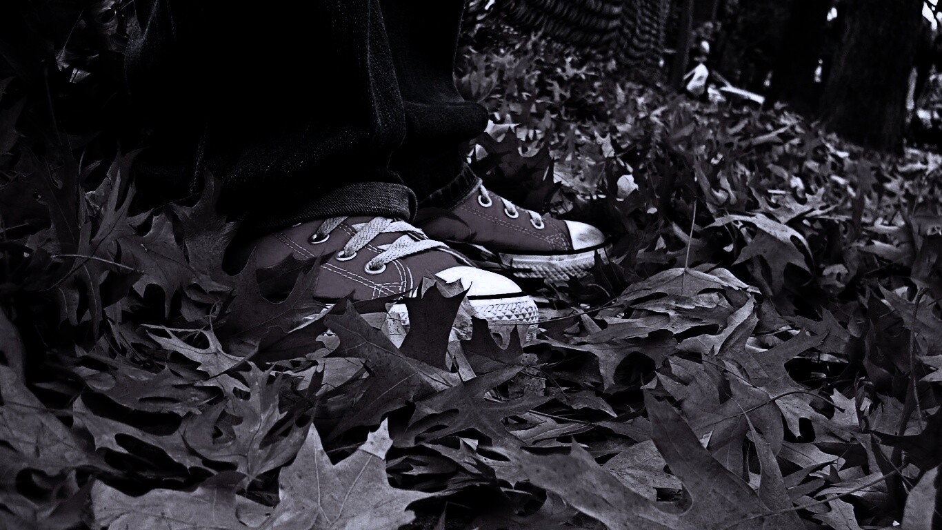 Оранжевые кеды обои