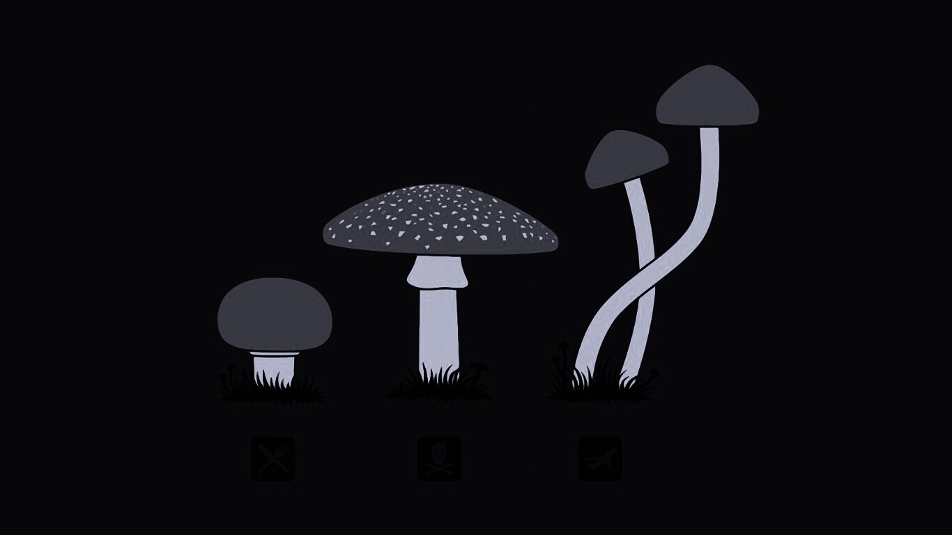 Грибочки обои