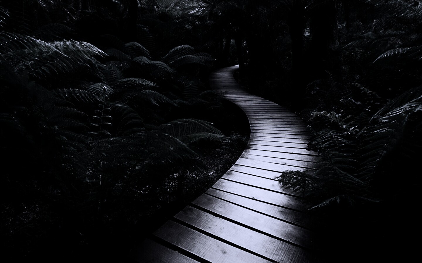 Дорожка в зарослях обои