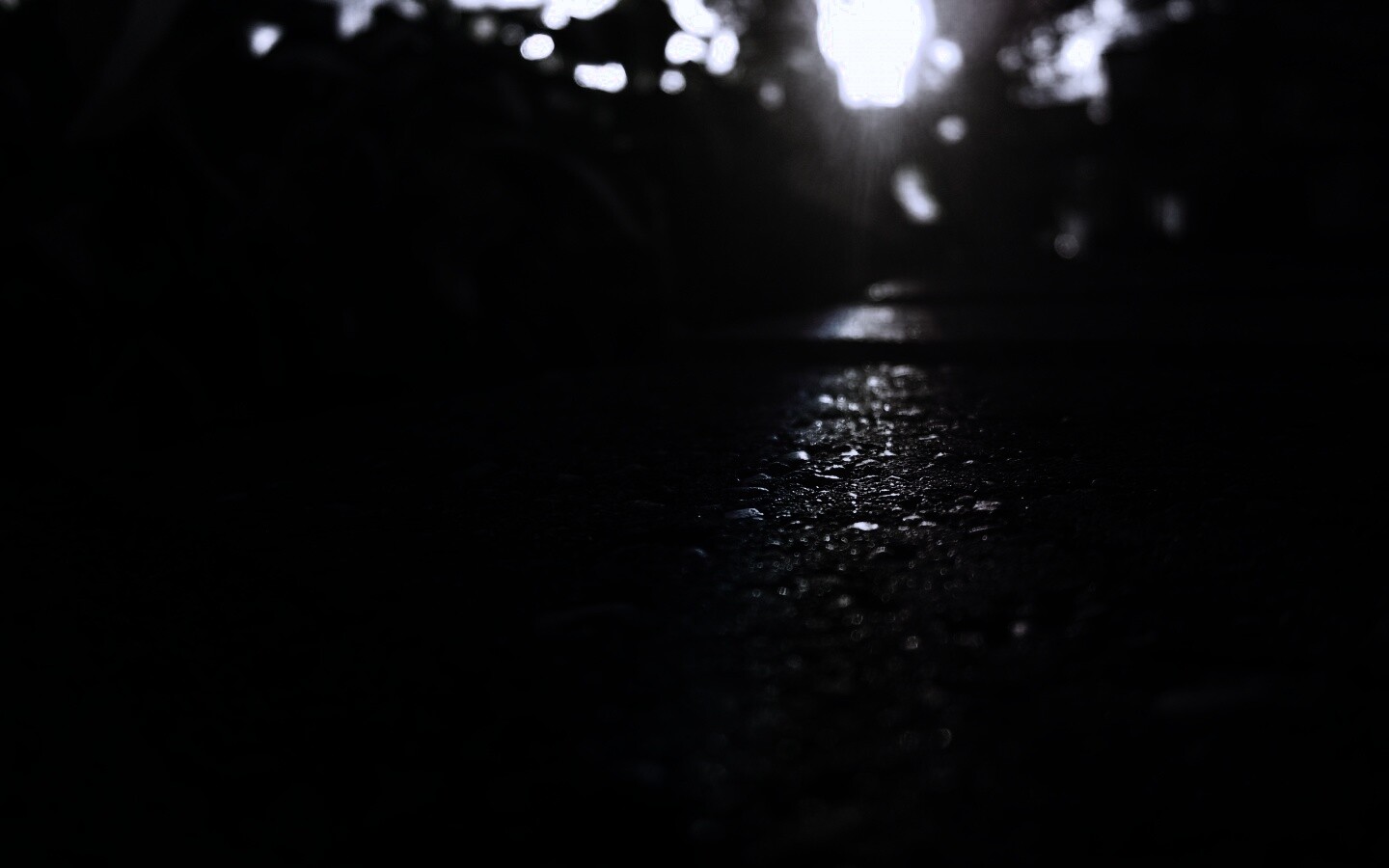 Макро радуга на камне обои