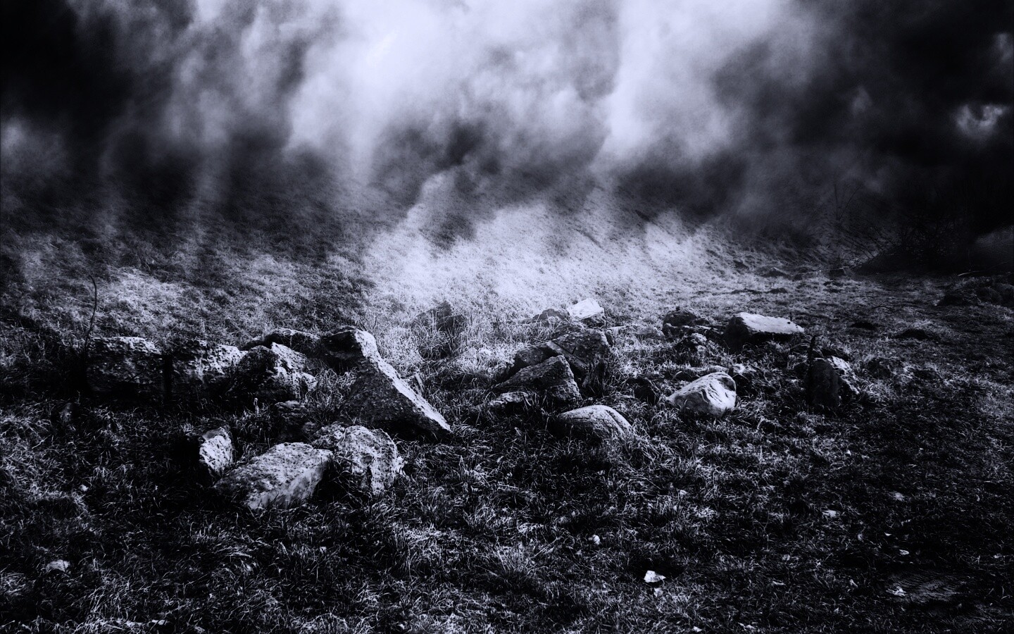 Туман на склоне обои