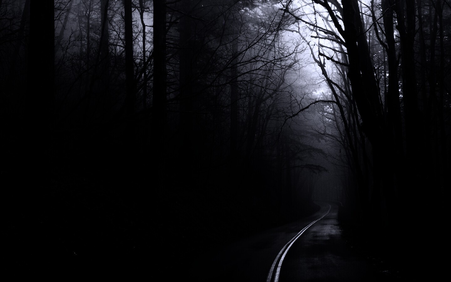 В туман обои