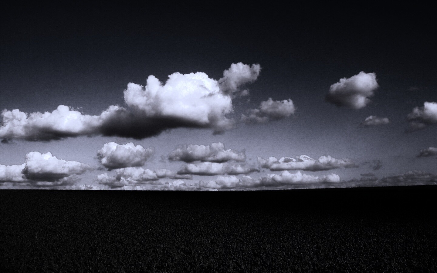 Обака над бескрайними полями обои