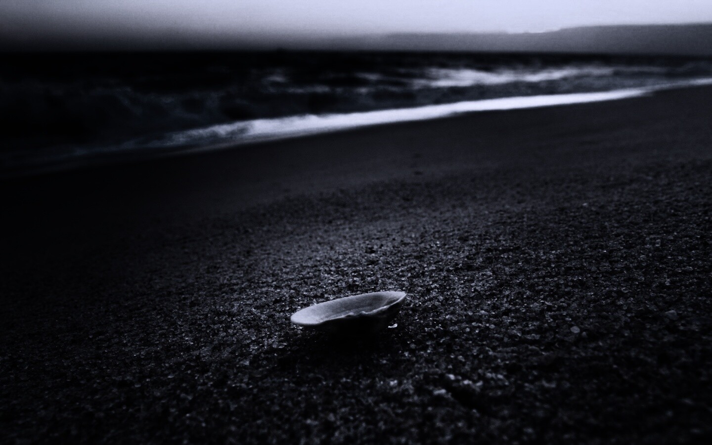 Ракушка не песчанном берегу обои