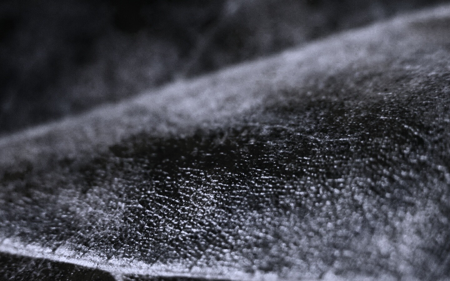 Повехность листа обои