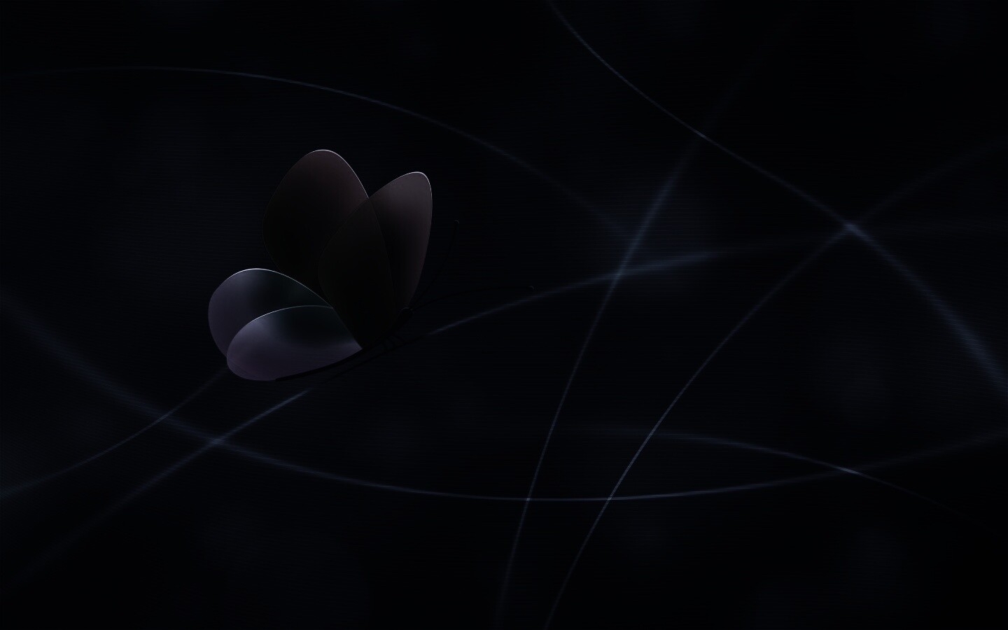 Бабочка с радужными крыльями обои