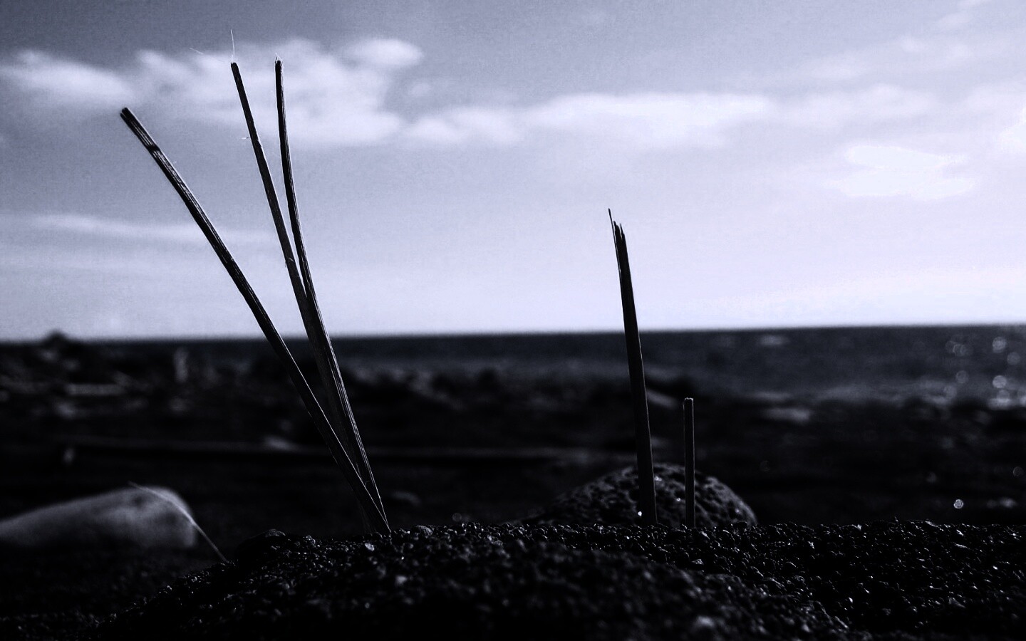 Солома на океанском берегу обои