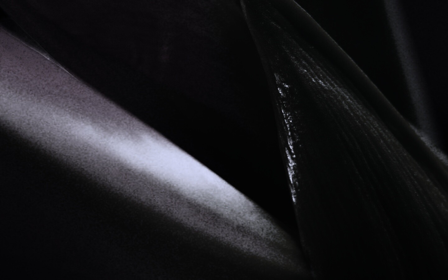 Макро фото цветка обои