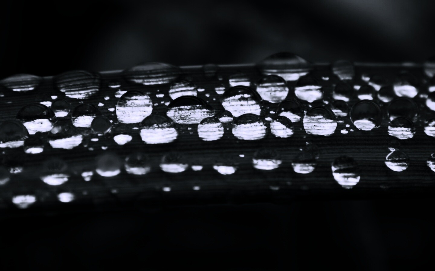 Капли на травинке обои