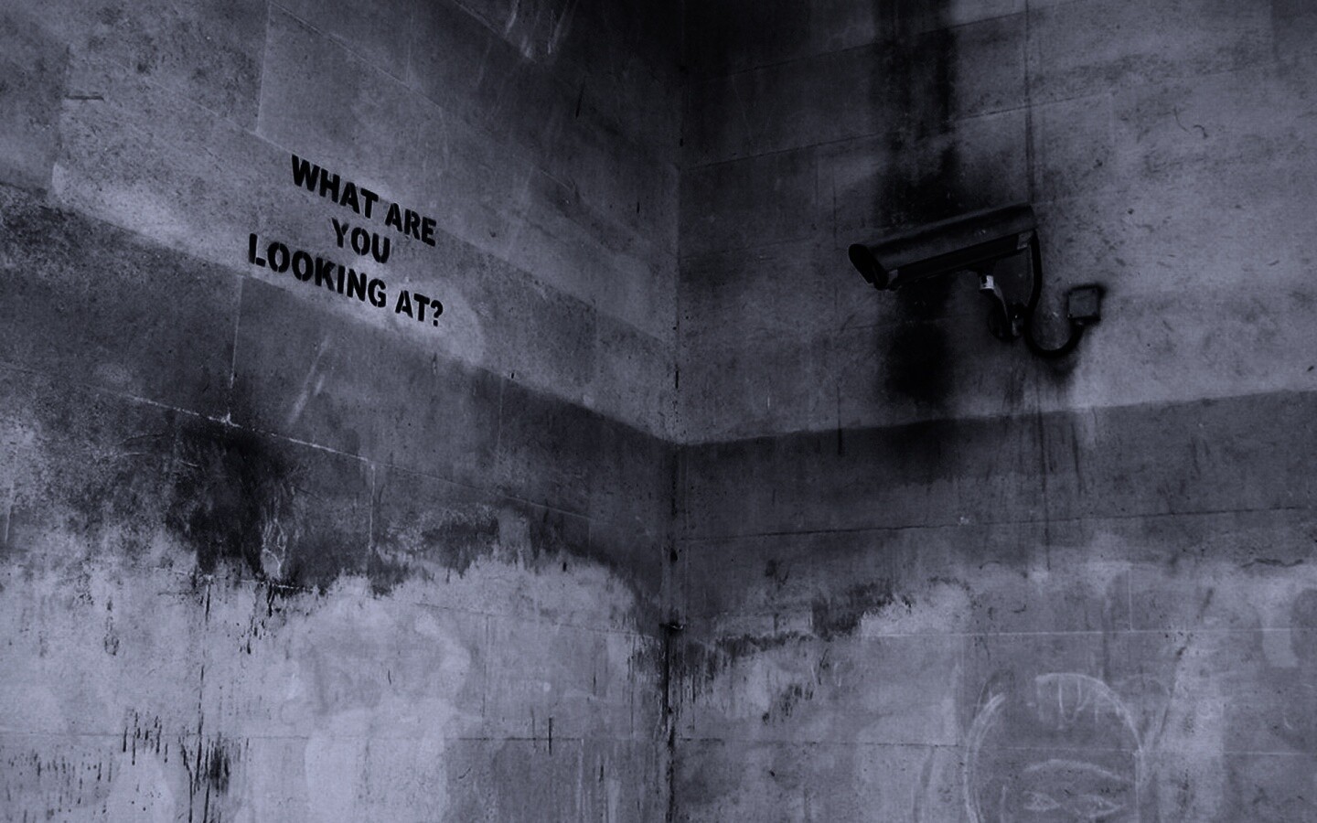 На что ты смотришь? обои