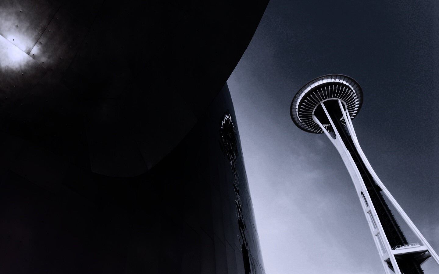 Space Needle Tower обои