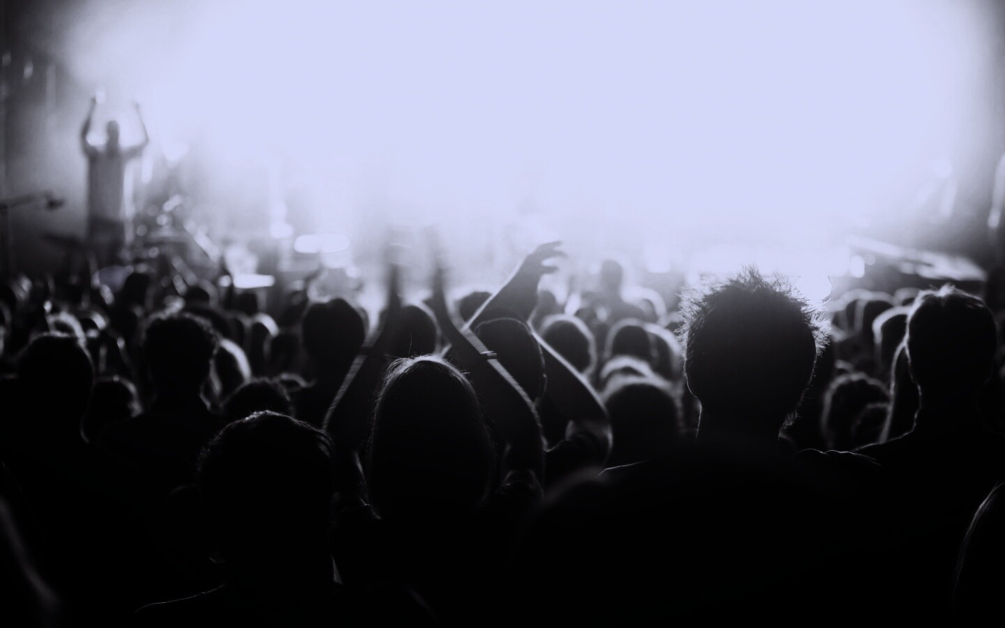 Люди на концерте обои