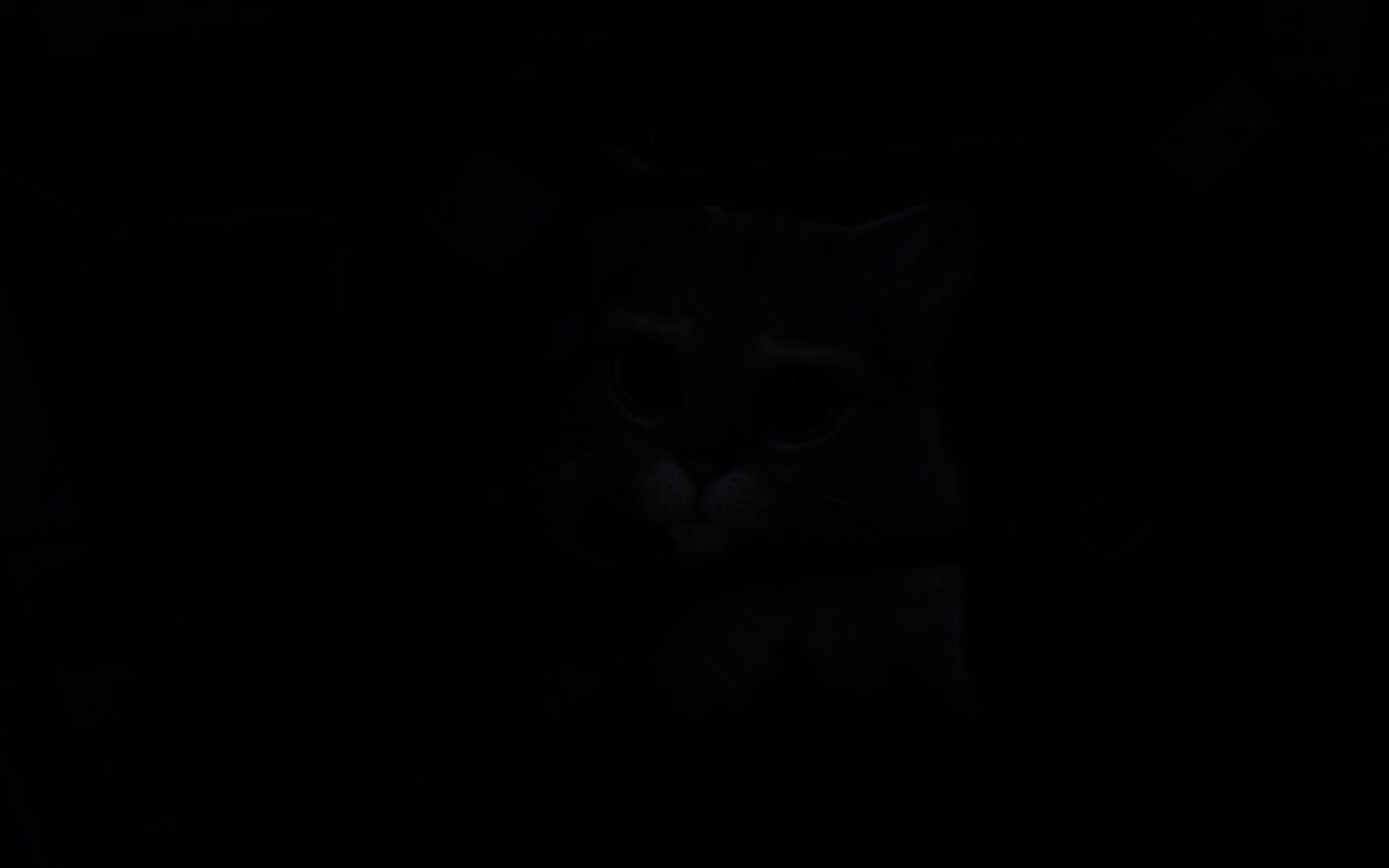 Кот в сапогах обои