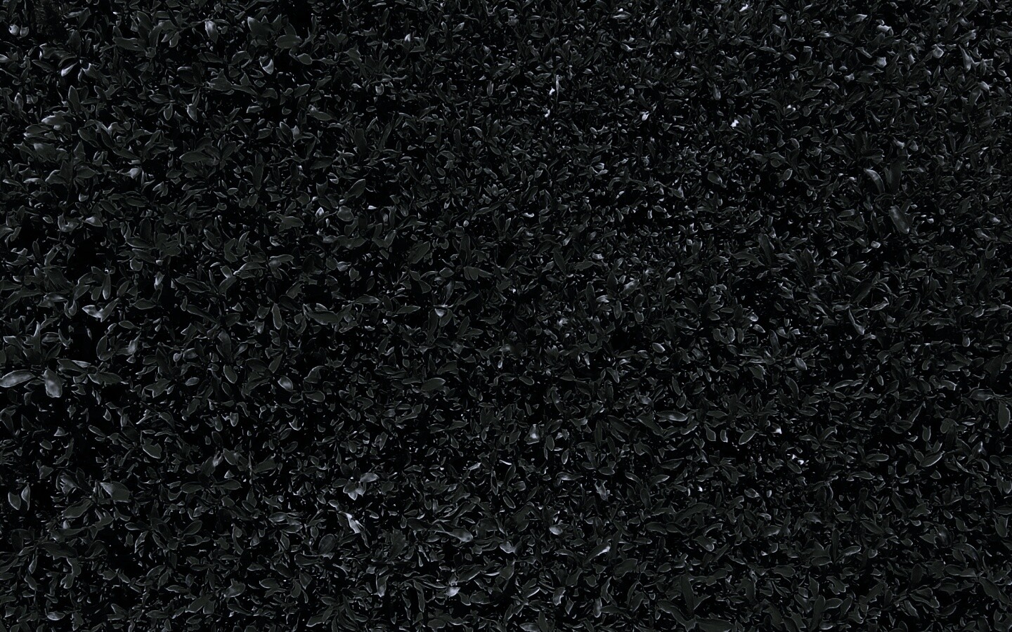 Чайные листья обои