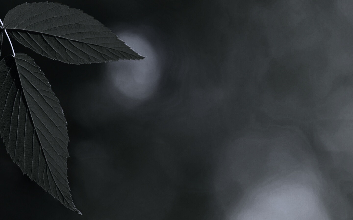 Два листа обои