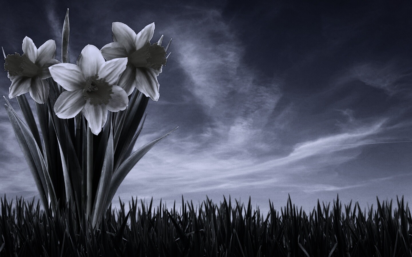 Букет цветов в траве обои