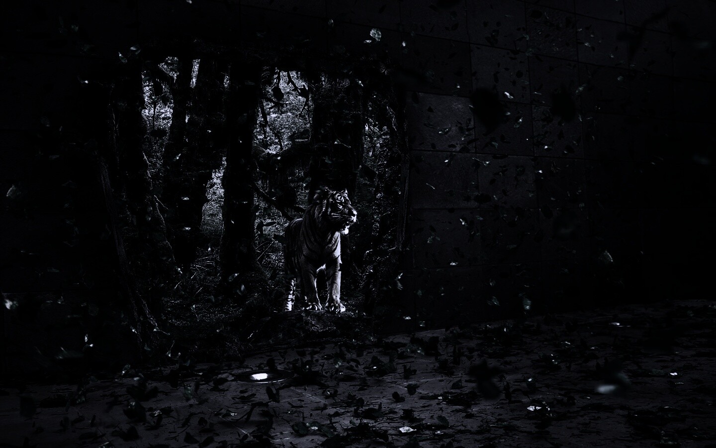 Портал в джунги обои