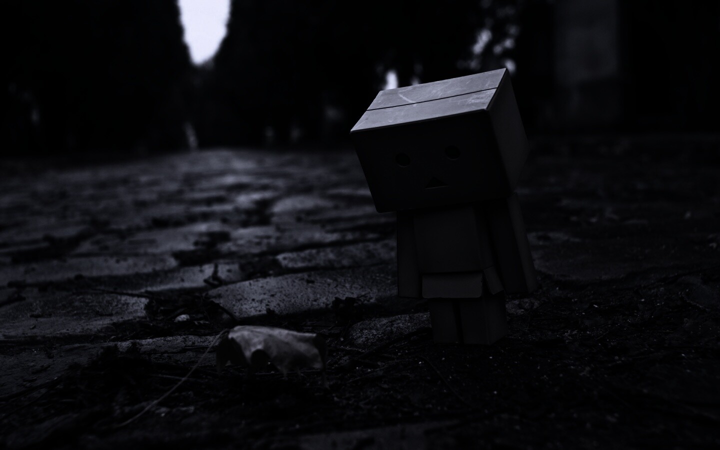 Danbo и первый осенний лист обои