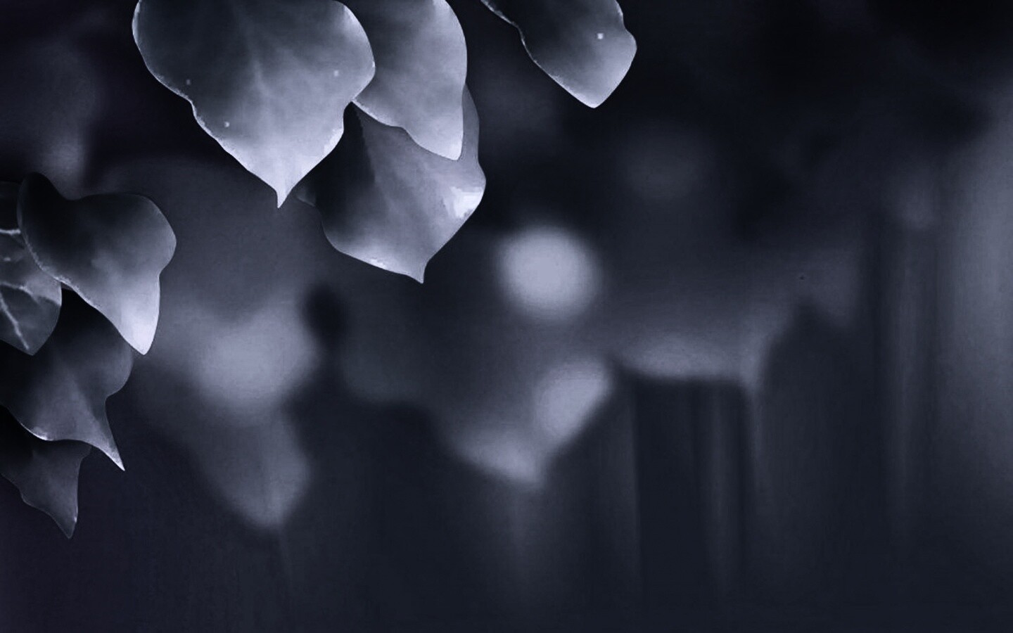 Синие листья обои