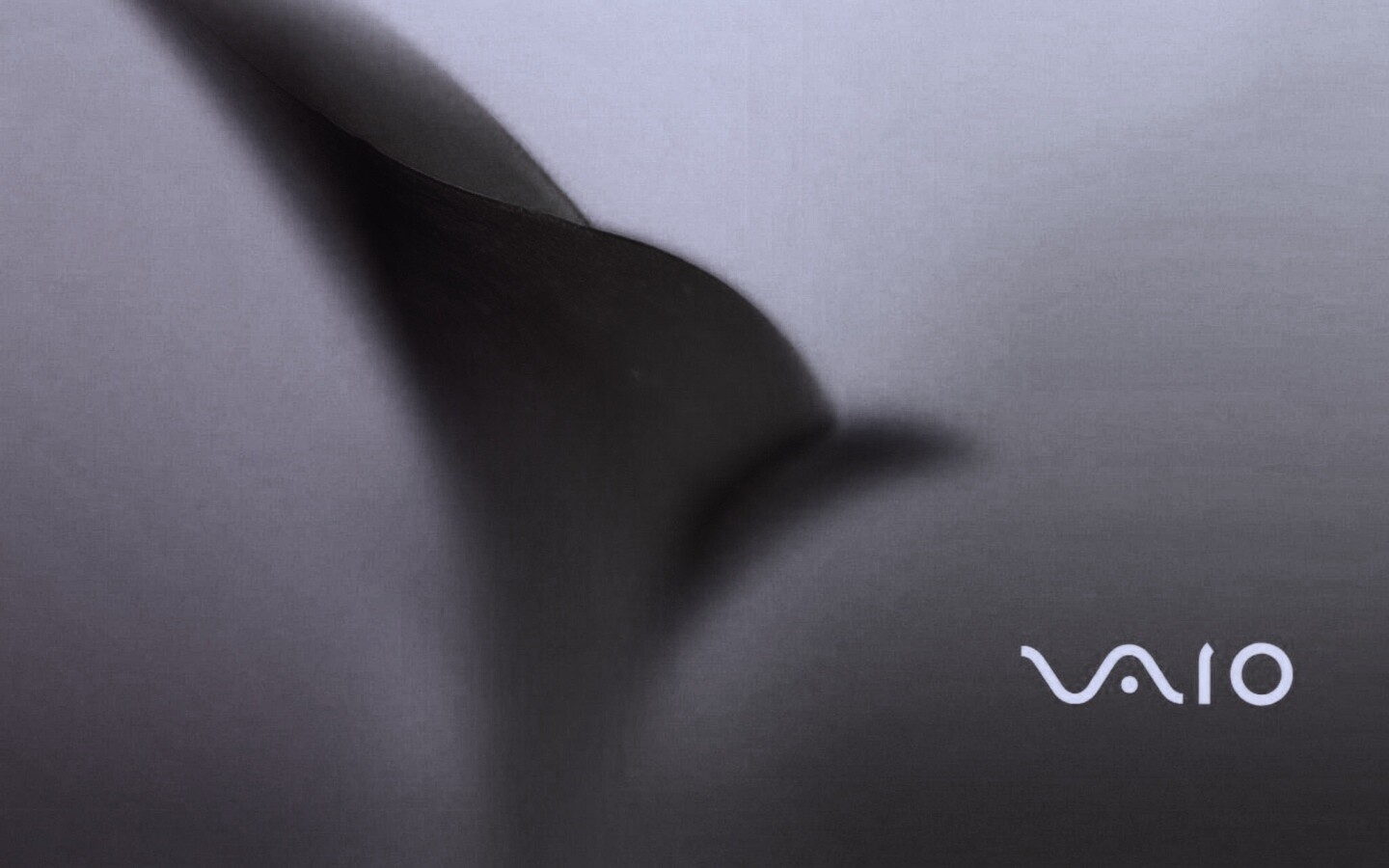 Цветок и логотип Vaio обои