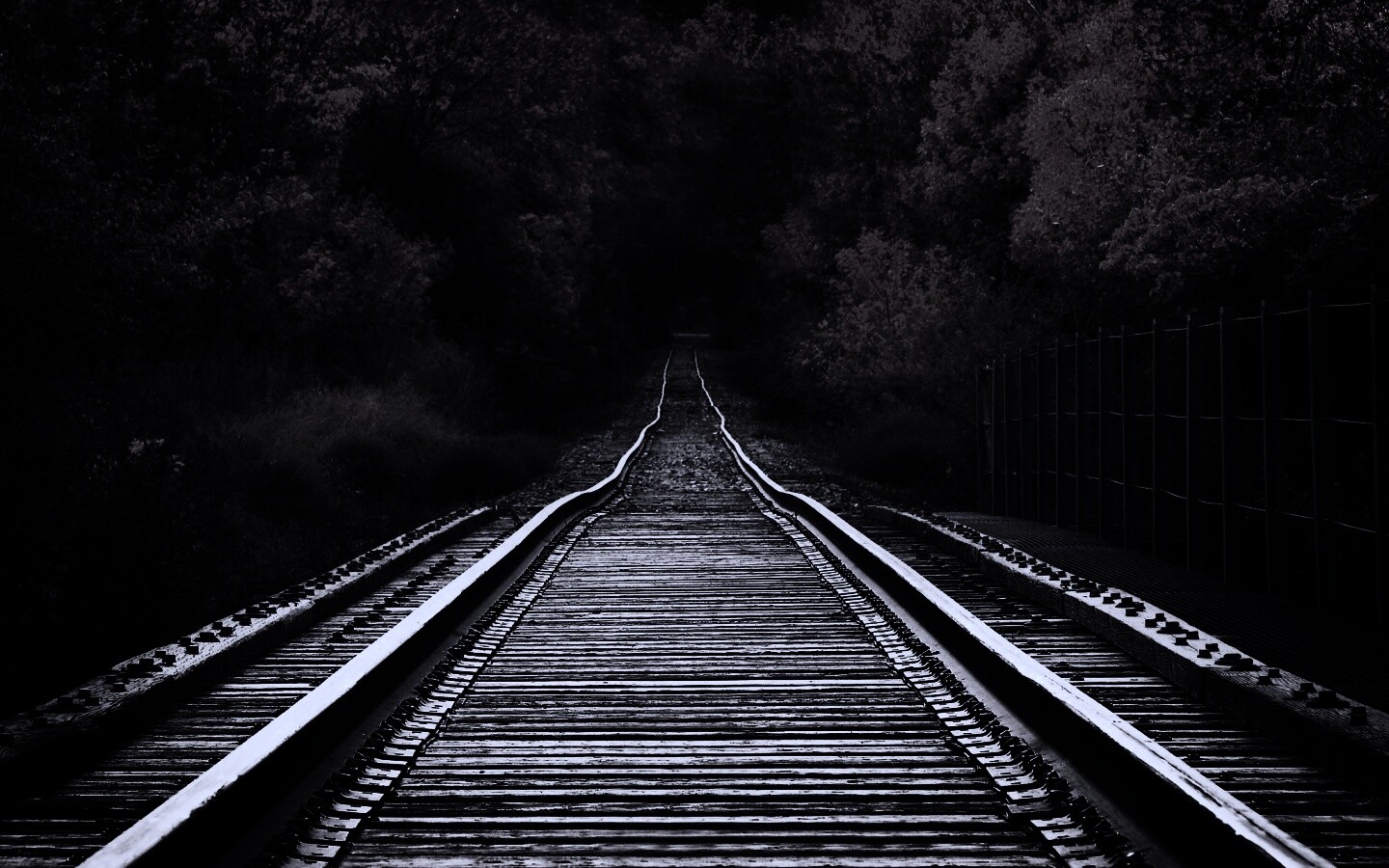 Железная дорога в осеннем лесу обои