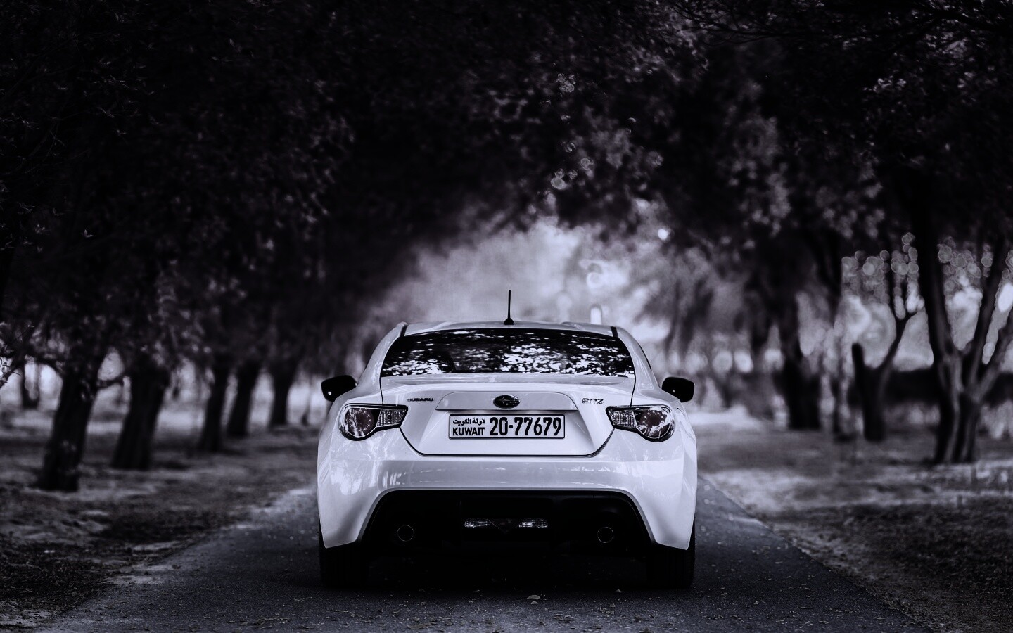 Субару на осенней дороге обои