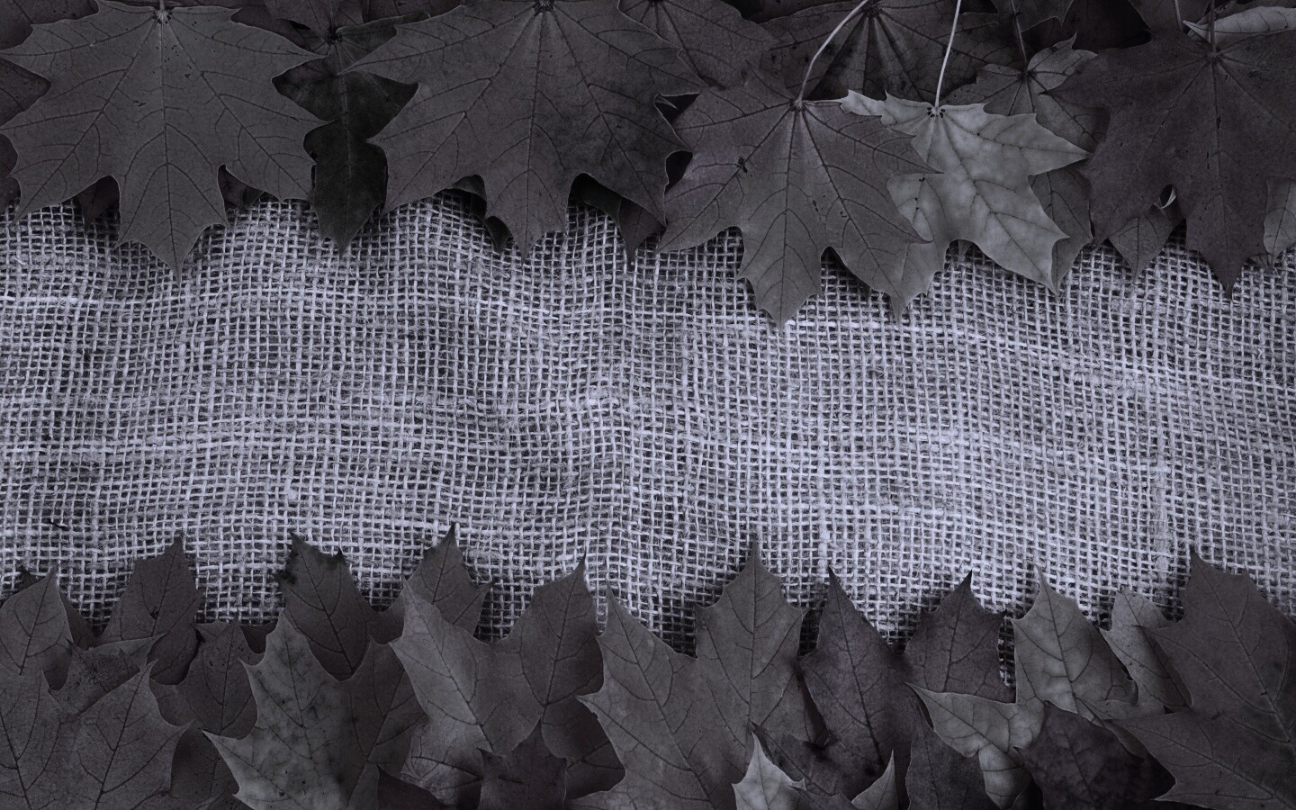 Желтые кленовые листья на холсте обои