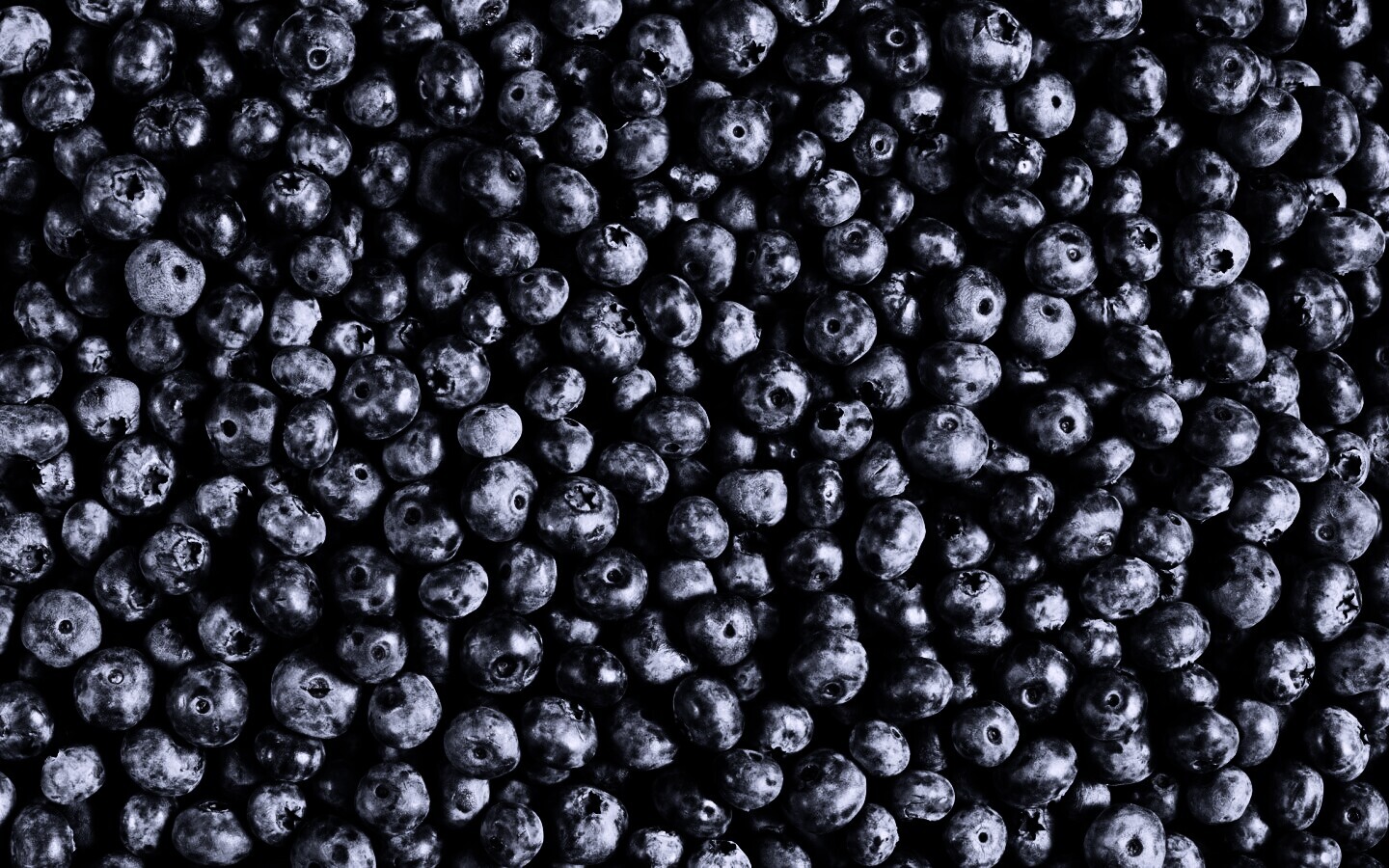 Черника обои