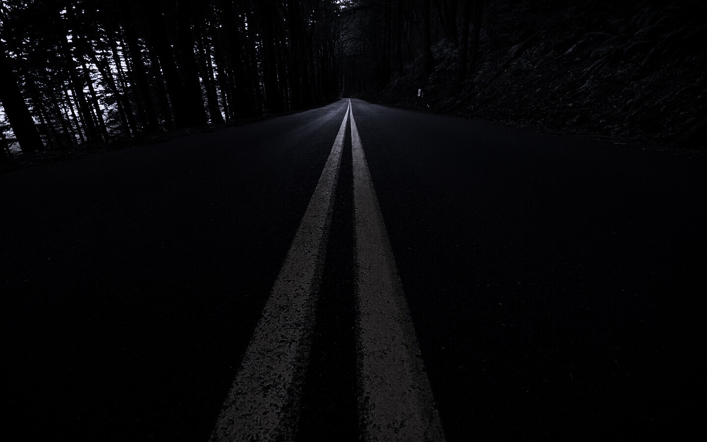 Дорога в лесу обои