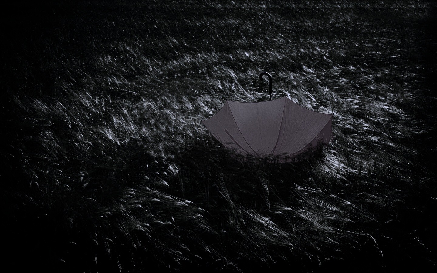 Зонт на траве обои