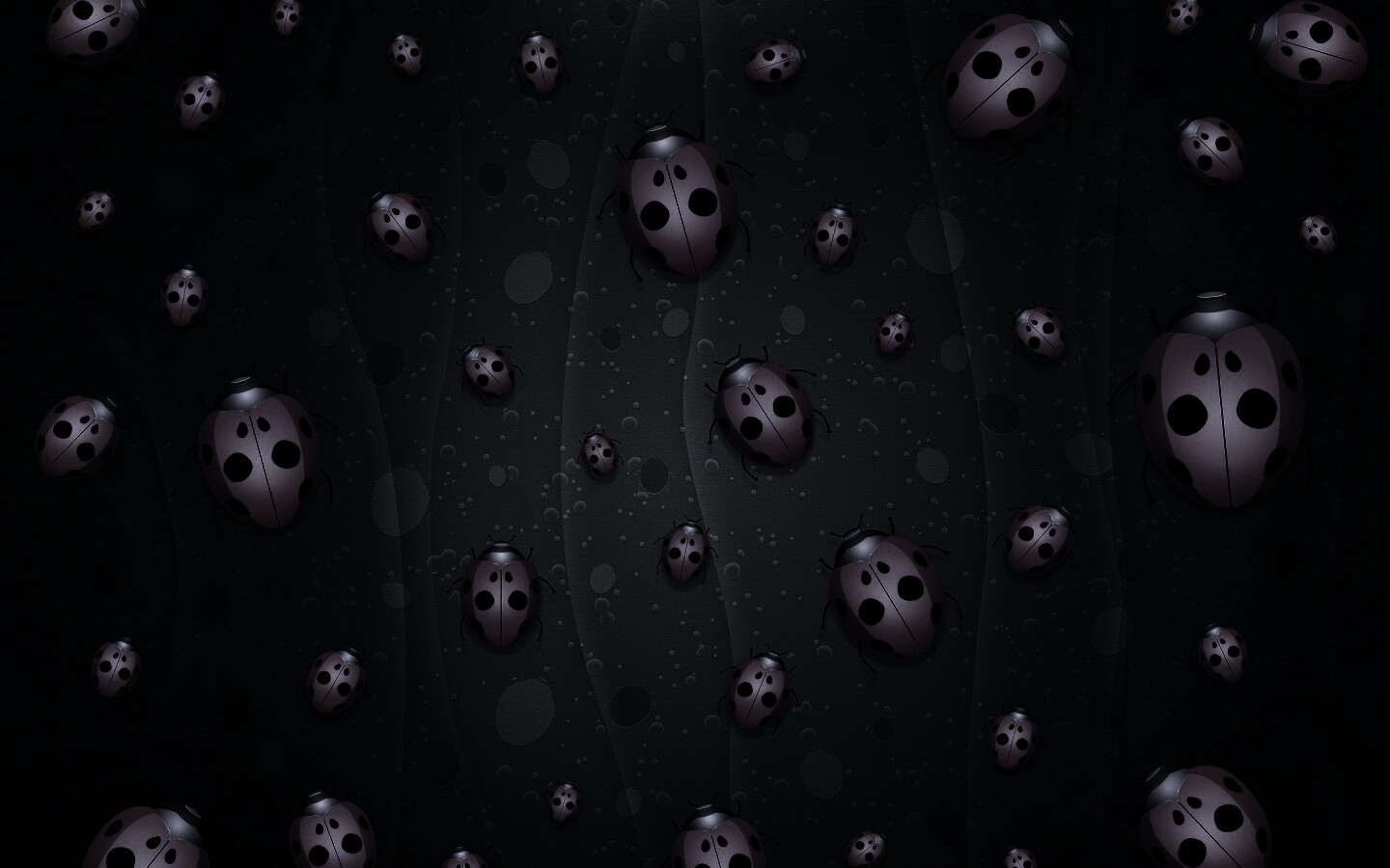 Божьи коровки обои