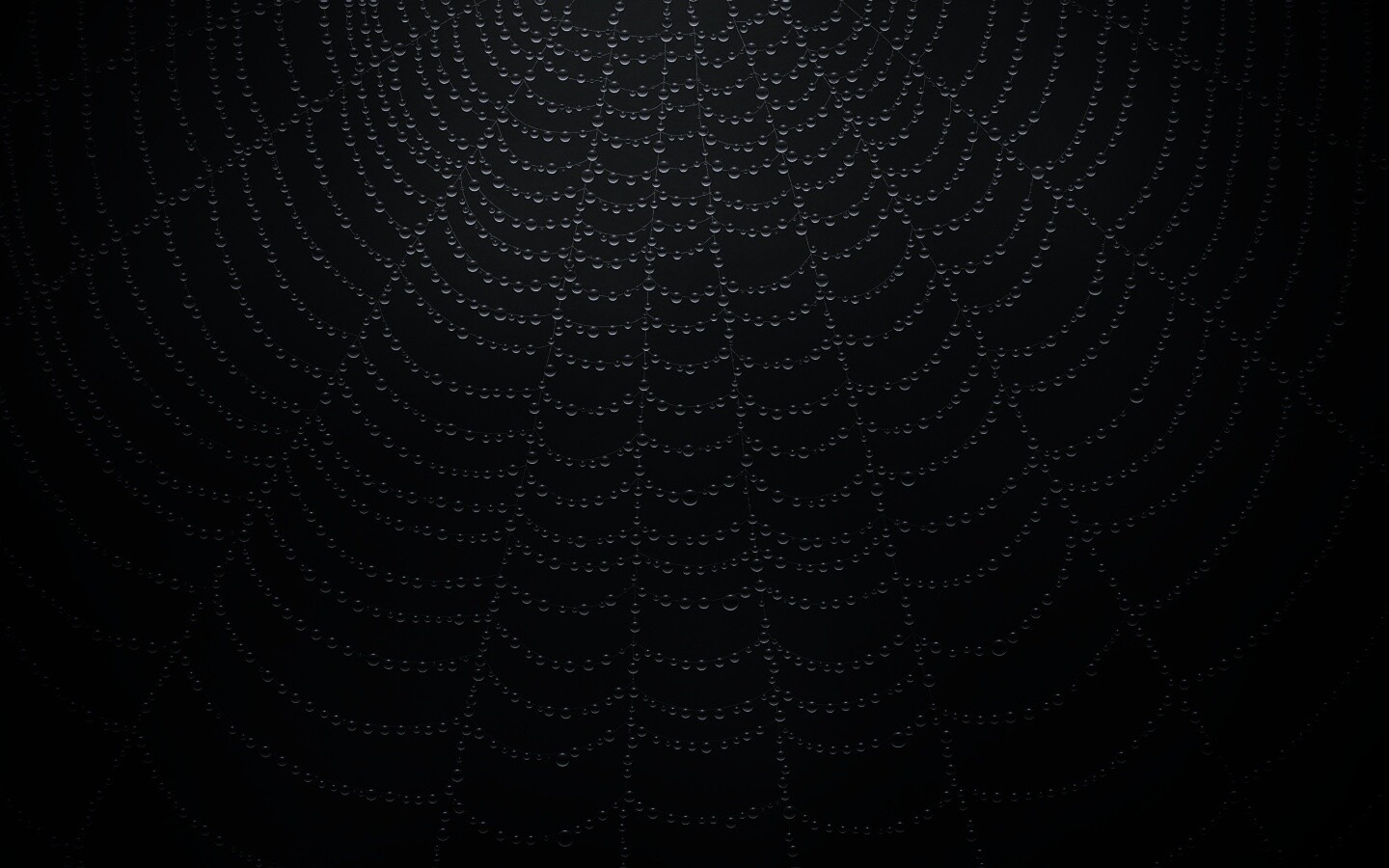 Роса на паутине обои