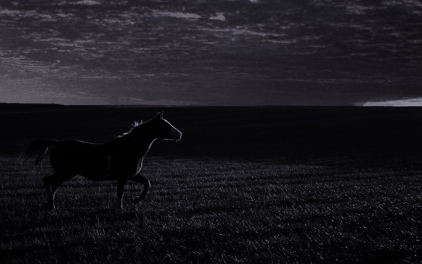 Мустанг обои